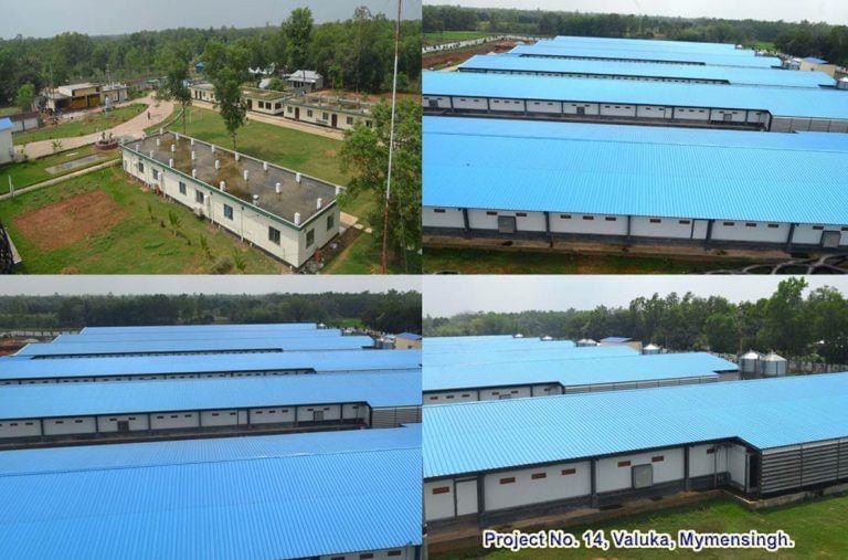 Steel portal frame erection prepared for color coated sheet fixing
