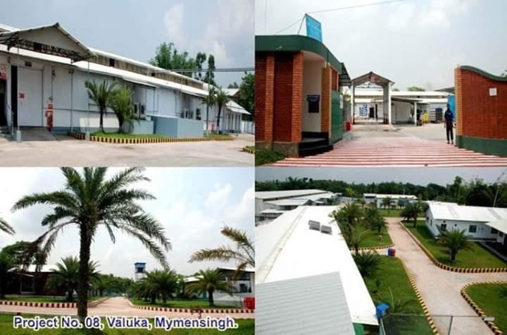 Insulated sandwich panel wall cladded with prepainted steel sheets
