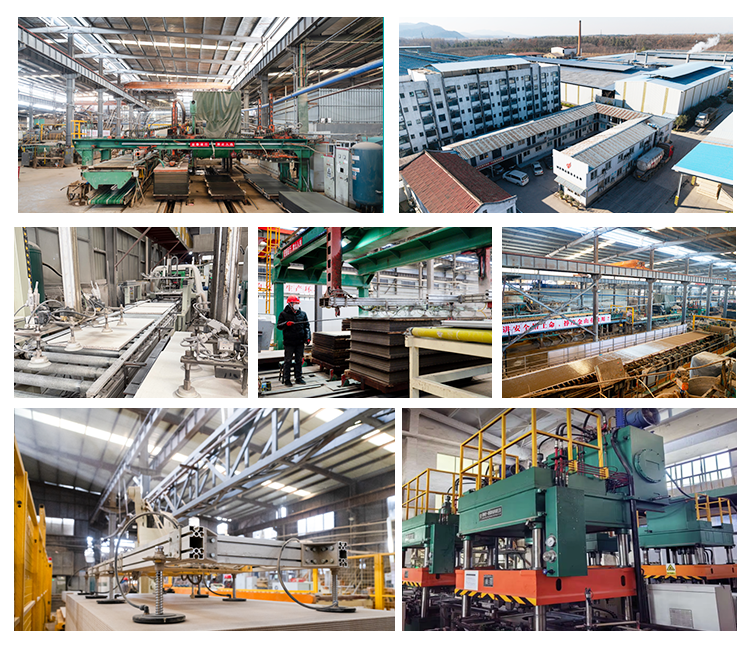 Production Process