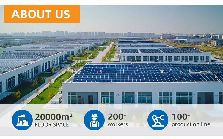 Company Profile
