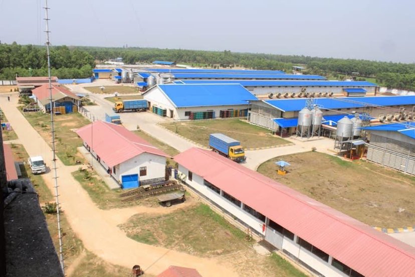 Completed industrial manufacturing factory with blue color coated steel roof