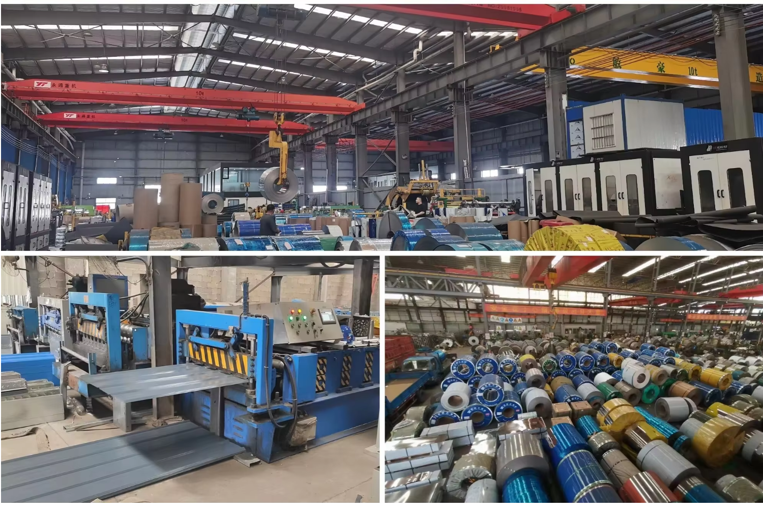 Prepainted Color Coated Galvanized Aluzinc Galvalume Steel Coil Spcc Painted PPGI PPGL Coil