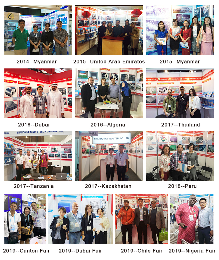 Our Professional Team